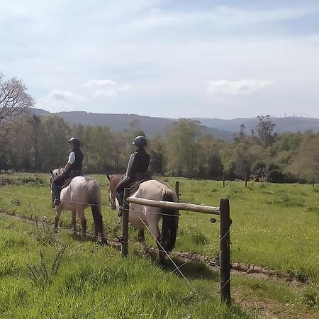 Granja Labrada: Alojamiento Con Caballos Manon Dış mekan fotoğraf