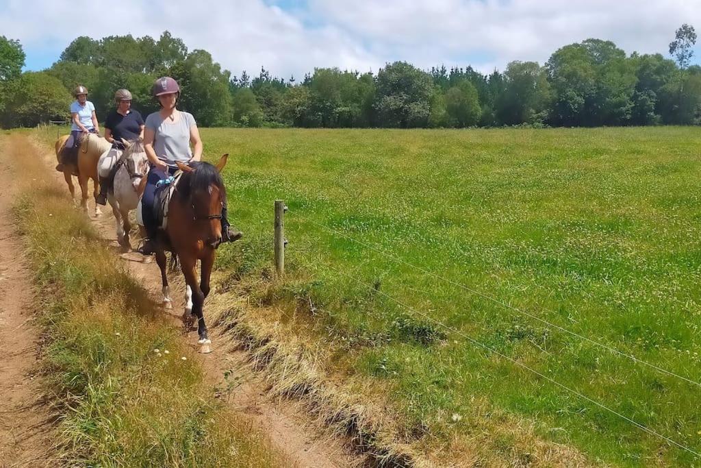Granja Labrada: Alojamiento Con Caballos Manon Dış mekan fotoğraf