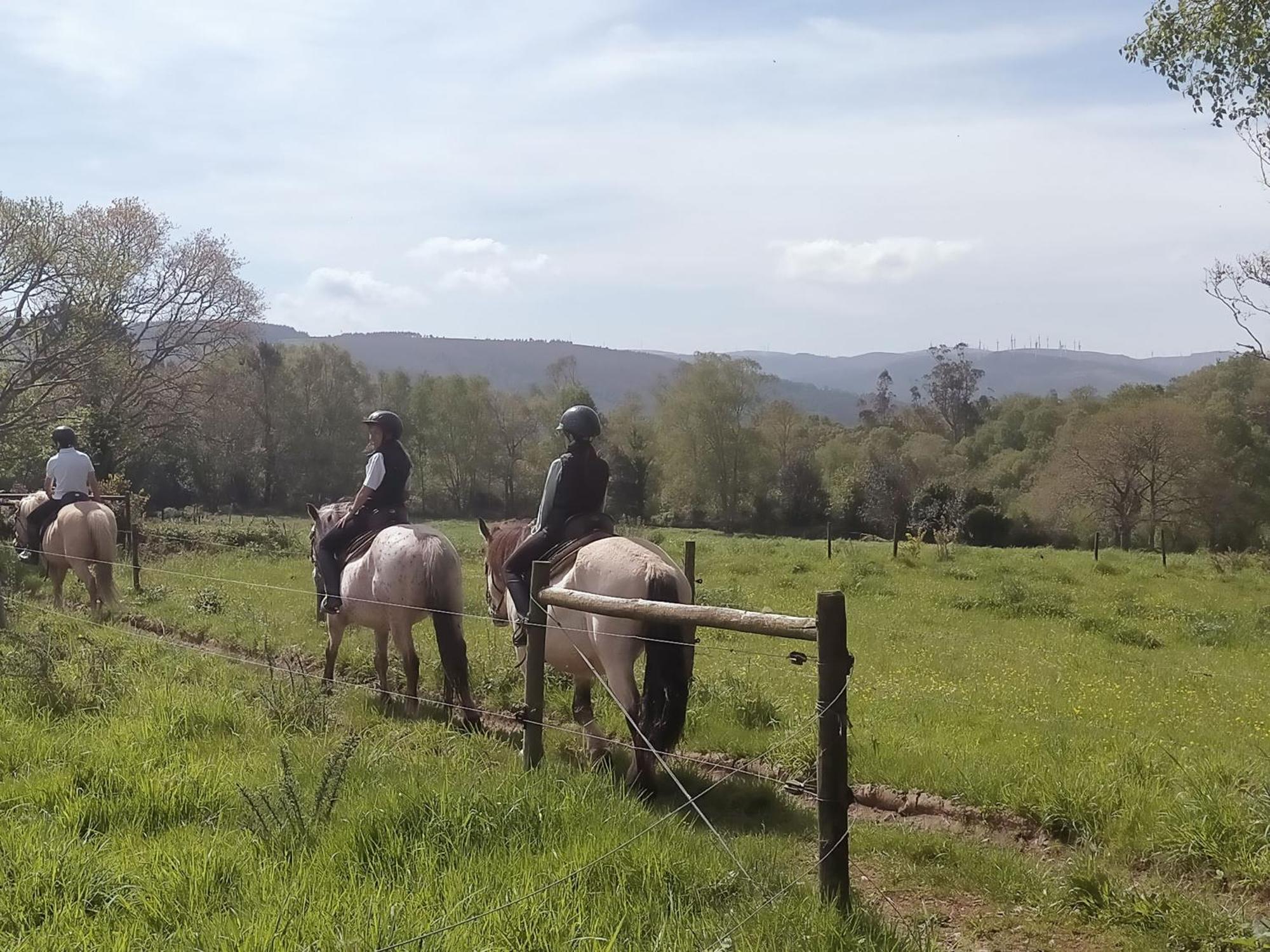 Granja Labrada: Alojamiento Con Caballos Manon Dış mekan fotoğraf